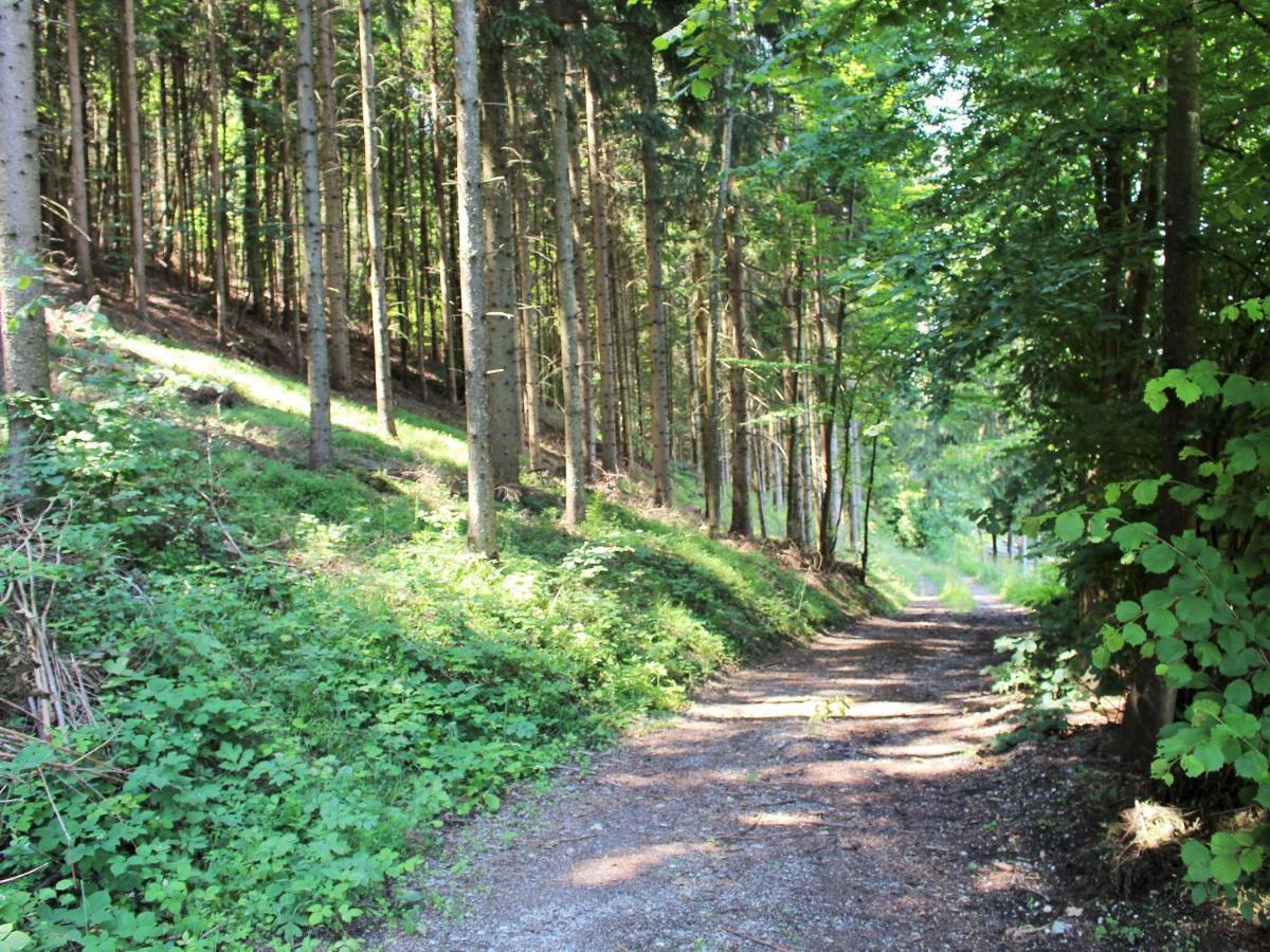 Apartment In Koettmannsdorf Near Bathing Lake Wurdach المظهر الخارجي الصورة