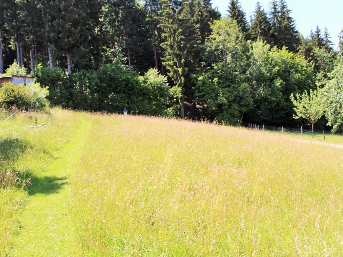 Apartment In Koettmannsdorf Near Bathing Lake Wurdach المظهر الخارجي الصورة