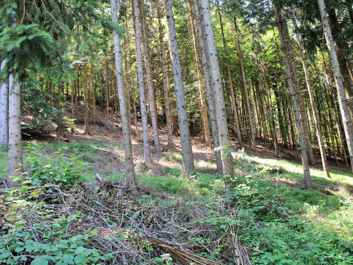 Apartment In Koettmannsdorf Near Bathing Lake Wurdach المظهر الخارجي الصورة